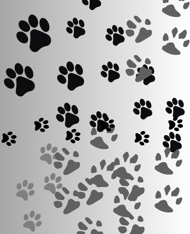 Dogs foot arts designs Dog paw art Dog footprint
